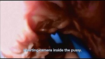 Journey To The Inside Of The Pussy