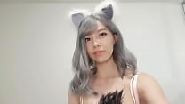 Asian   Cute Kitty